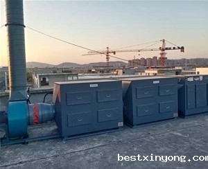 活性炭吸附净化系统 (2)